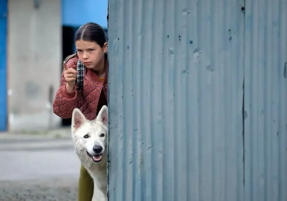 Ile trwa film o psie który jeździł koleją? Zaskakująca długość!