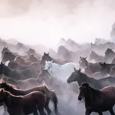 Indiana Jones 5 w kinach - co sądzę o filmie? Przeczytaj recenzję