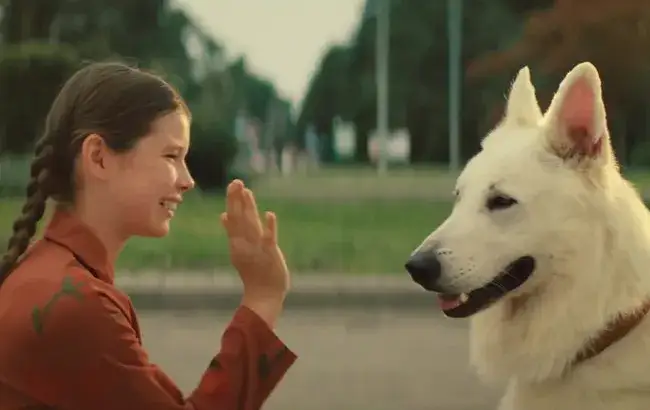 Zdjęcie Ile trwa film o psie który jeździł koleją? Zaskakująca długość!